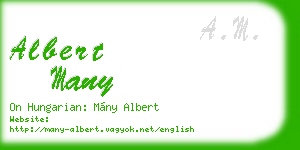 albert many business card