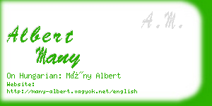 albert many business card